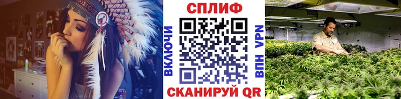 МЕФ Ясный