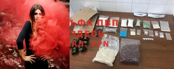 стаф Нефтегорск