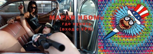 крисы Алзамай